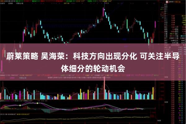 蔚莱策略 吴海荣：科技方向出现分化 可关注半导体细分的轮动机会
