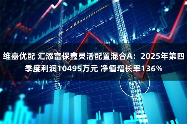 维嘉优配 汇添富保鑫灵活配置混合A：2025年第四季度利润10495万元 净值增长率136%