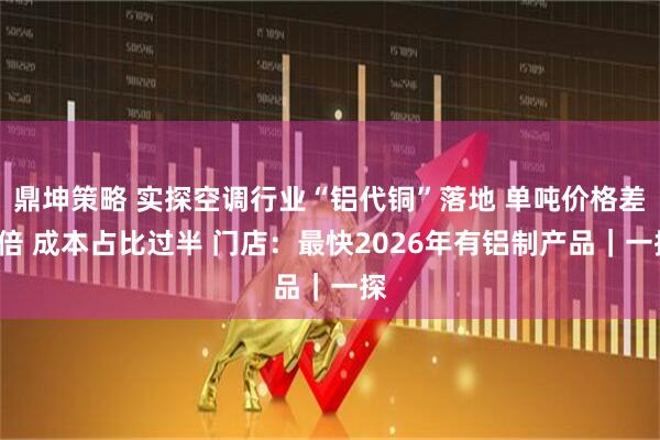 鼎坤策略 实探空调行业“铝代铜”落地 单吨价格差3倍 成本占比过半 门店：最快2026年有铝制产品｜一探